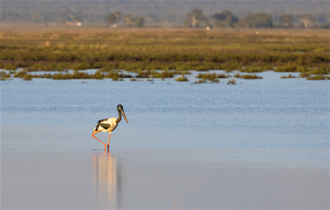 Bird Watching - Sean Scott Photography